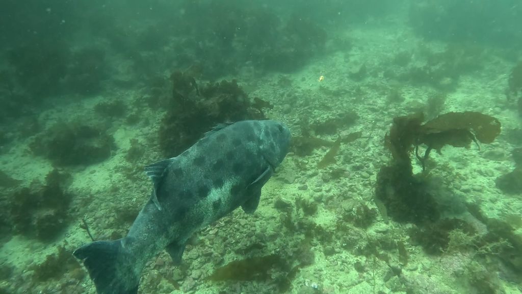 2c87afd6-cb88-45e8-a5a9-bae2b2e0ca4a