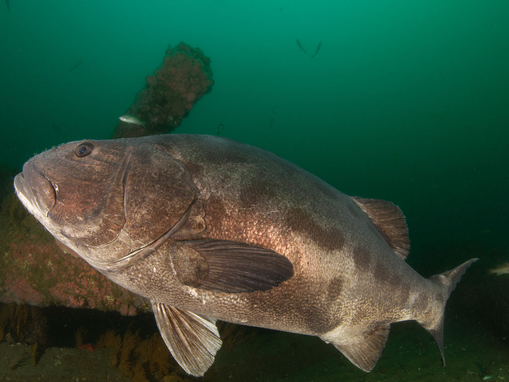 e7116184-2623-414b-a9d7-fc83ebb53a53