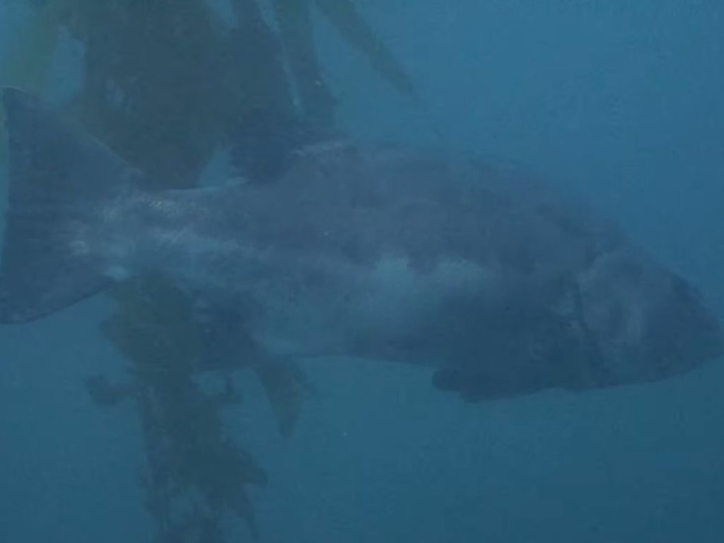 dd138b41-08d0-4dbc-9d23-9ec0d080546b