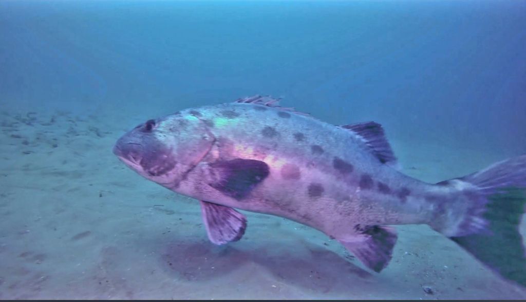 09413713-2df3-47b4-99f4-bc2407a31535