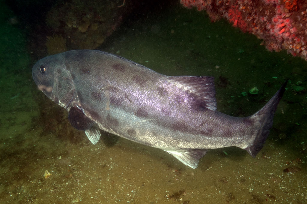 3a0eac86-2c63-4aa2-b015-2aae92e3283a