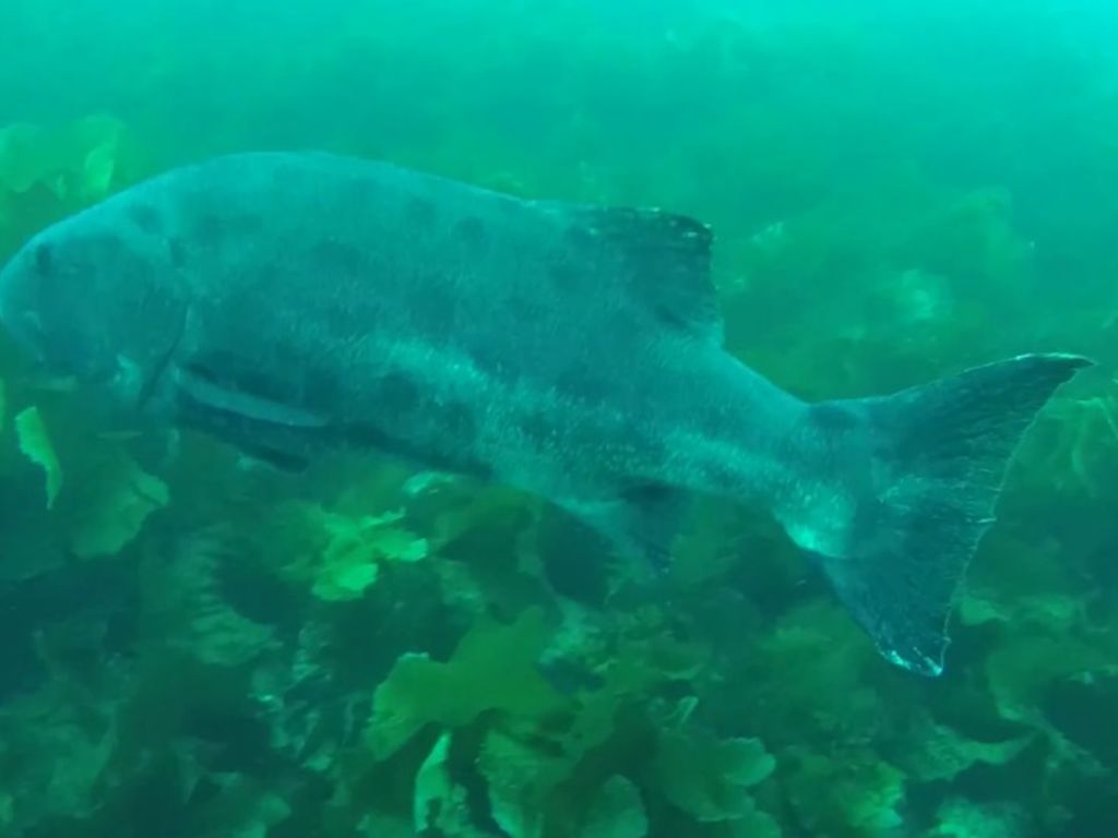 87174618-3bc3-4b69-ab31-09ede16de914