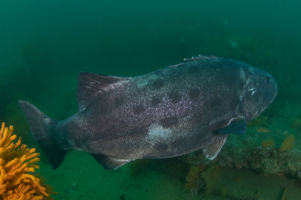 ea7e4c3d-4baf-411e-9454-d1ea0d707a86