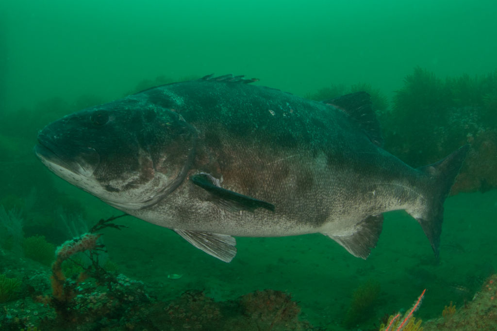 ea7e4c3d-4baf-411e-9454-d1ea0d707a86