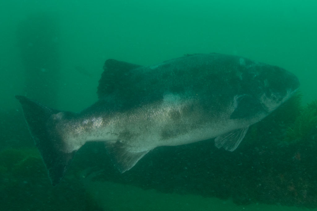 ea7e4c3d-4baf-411e-9454-d1ea0d707a86