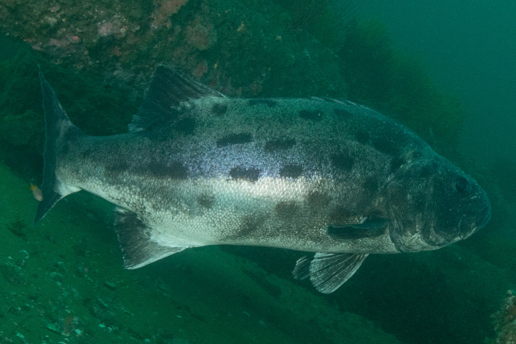 d18c3942-c896-476e-bfca-8aef39b081b7