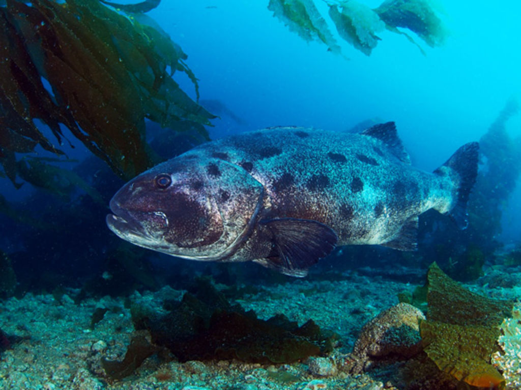 917be488-34db-4cb8-9319-75c0cc8115ea