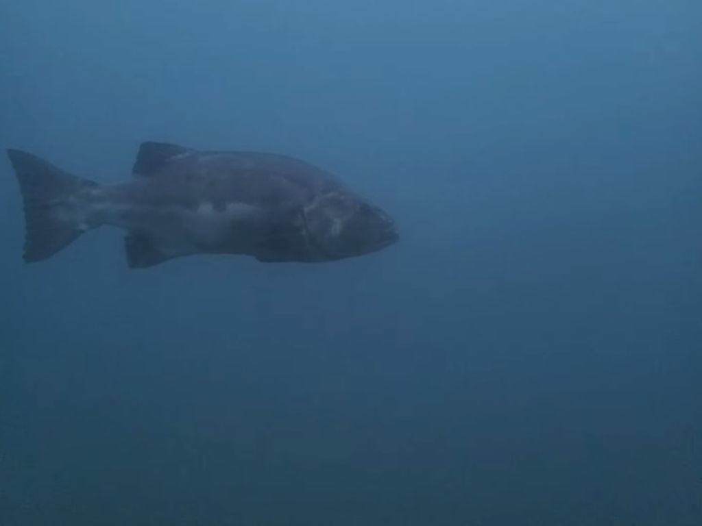 dd138b41-08d0-4dbc-9d23-9ec0d080546b