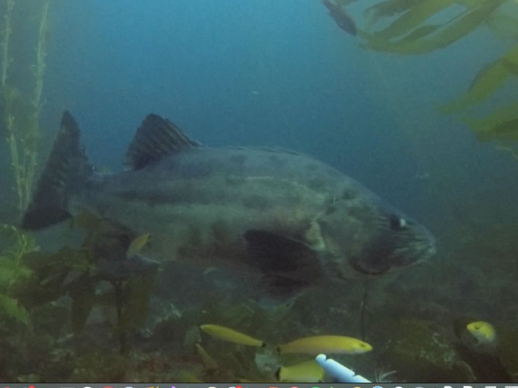 337a2fc1-ac91-4bae-8b24-3fff200b2a00