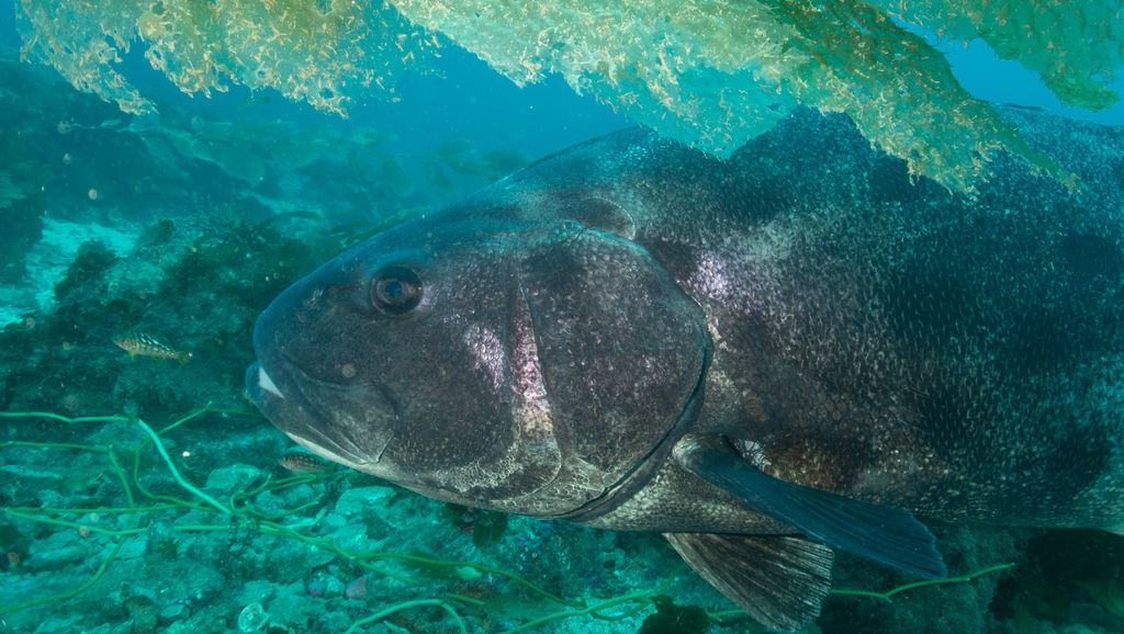 3b95c298-e2e9-4acc-a075-edc9c1b881ac