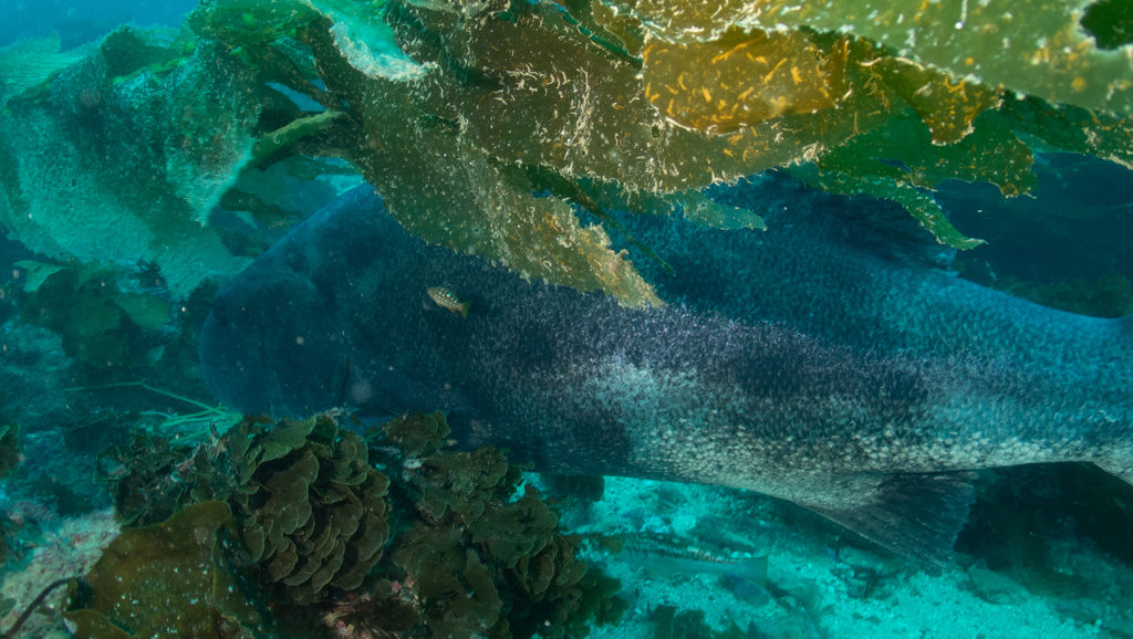 3b95c298-e2e9-4acc-a075-edc9c1b881ac