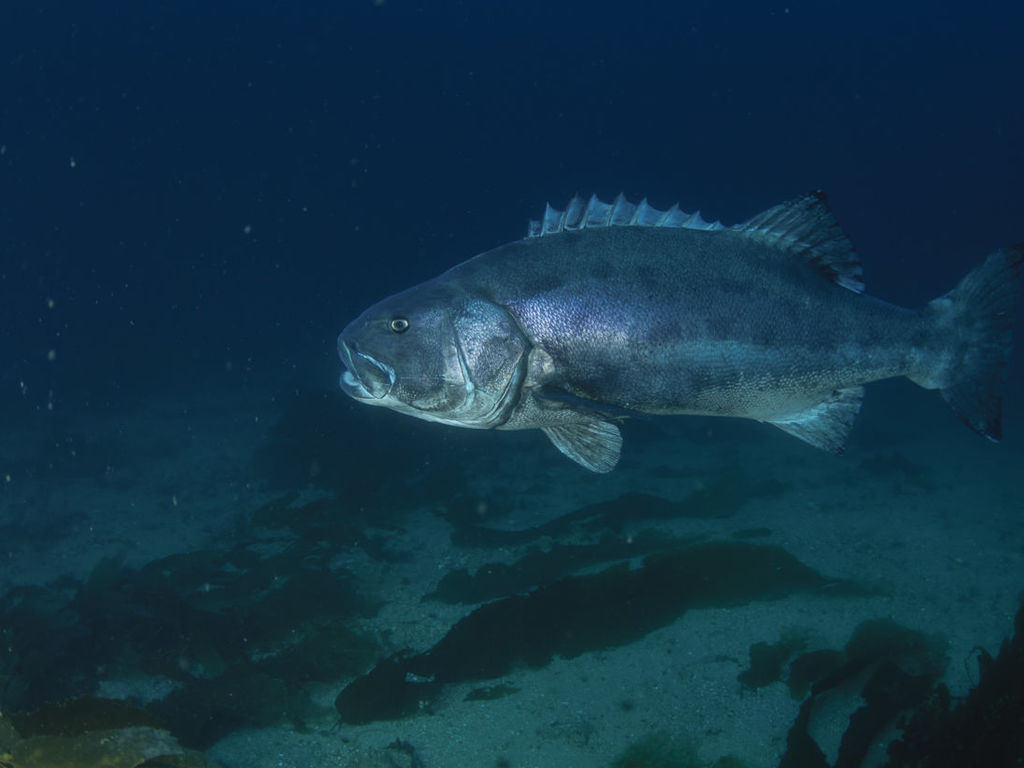 0d42efff-1fba-4fa8-b533-ad1d5720ca32