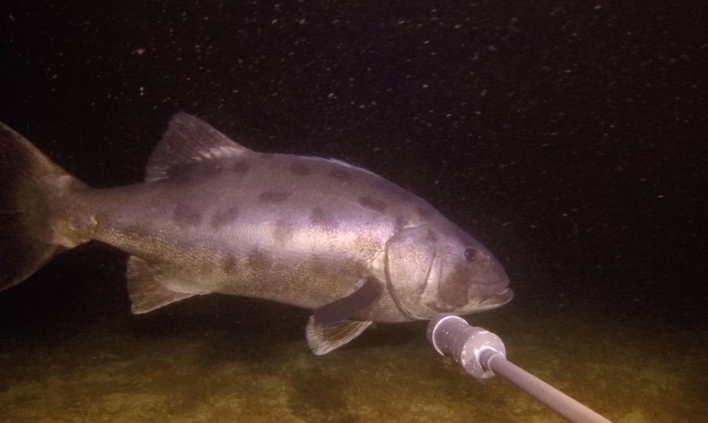 be2a89e5-38f0-41ae-a972-282b0249d36d