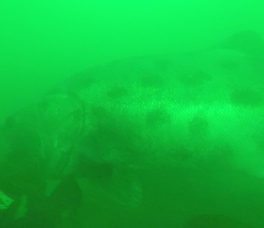 c6d774e1-b40c-4aa6-9950-5549122c73fd