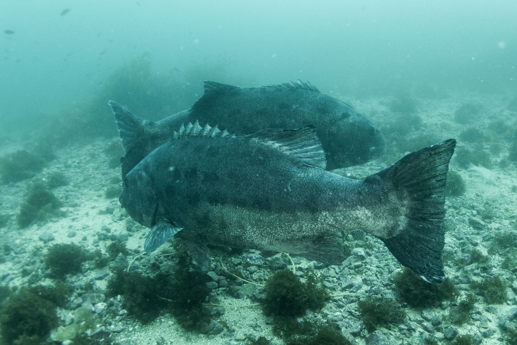 f3e01516-c8bf-44c2-a1b7-060e7f79e342