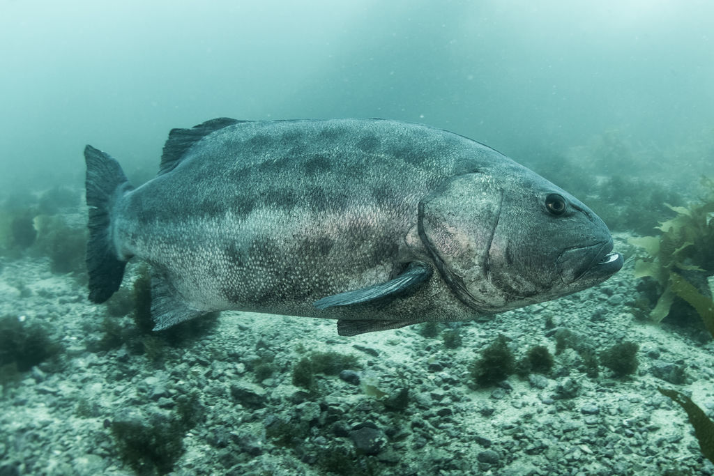 f3e01516-c8bf-44c2-a1b7-060e7f79e342