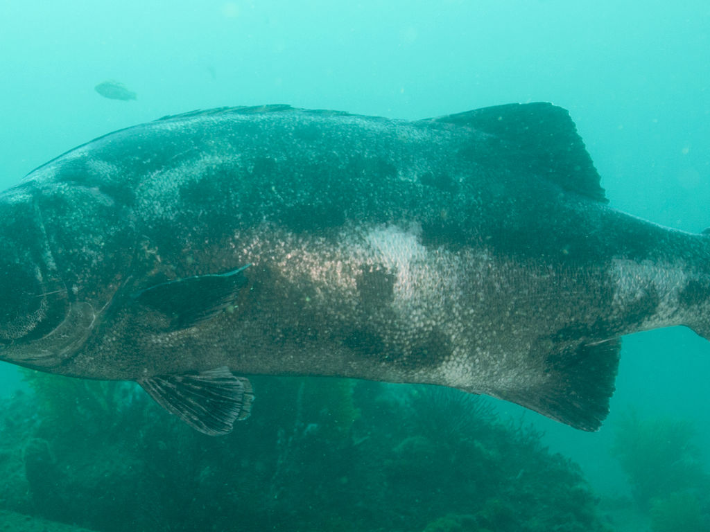 5a5190ef-b534-4922-9db5-7c0e16703490