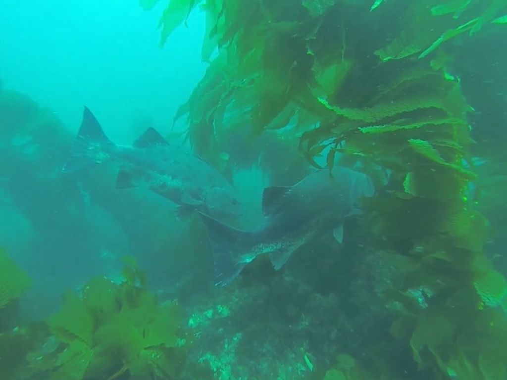 0ada4343-07e0-447c-a071-88a76edad69d