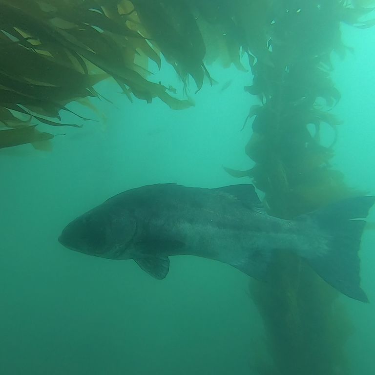 256eadb7-4868-4906-84d3-9bf98a81bdc6