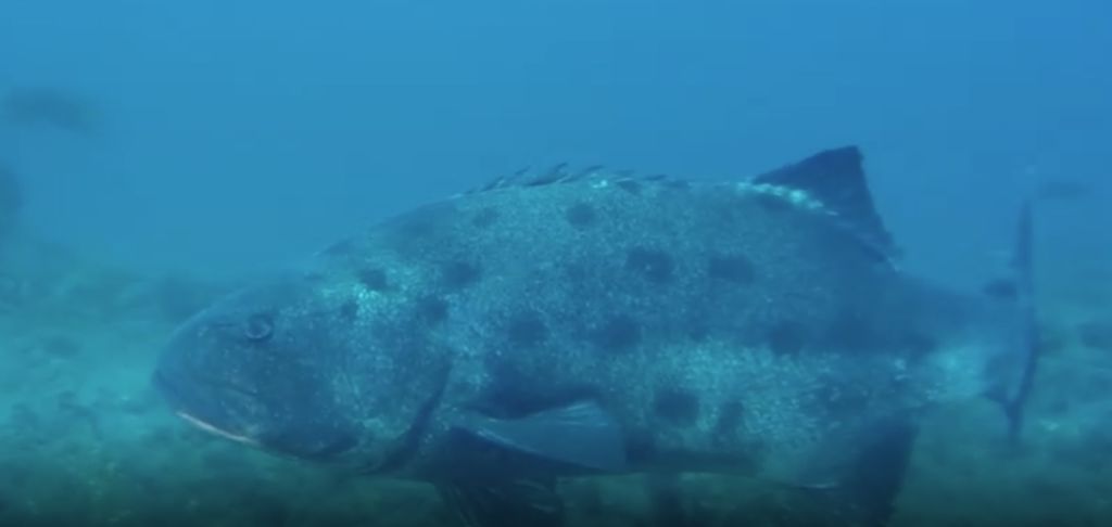 3437438d-9ef9-41e3-a1f8-3580df92cc35