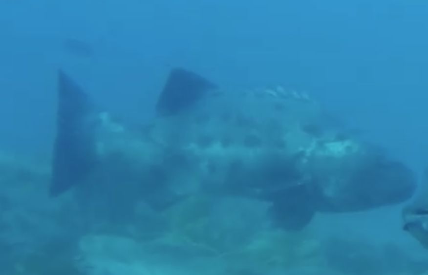 3437438d-9ef9-41e3-a1f8-3580df92cc35