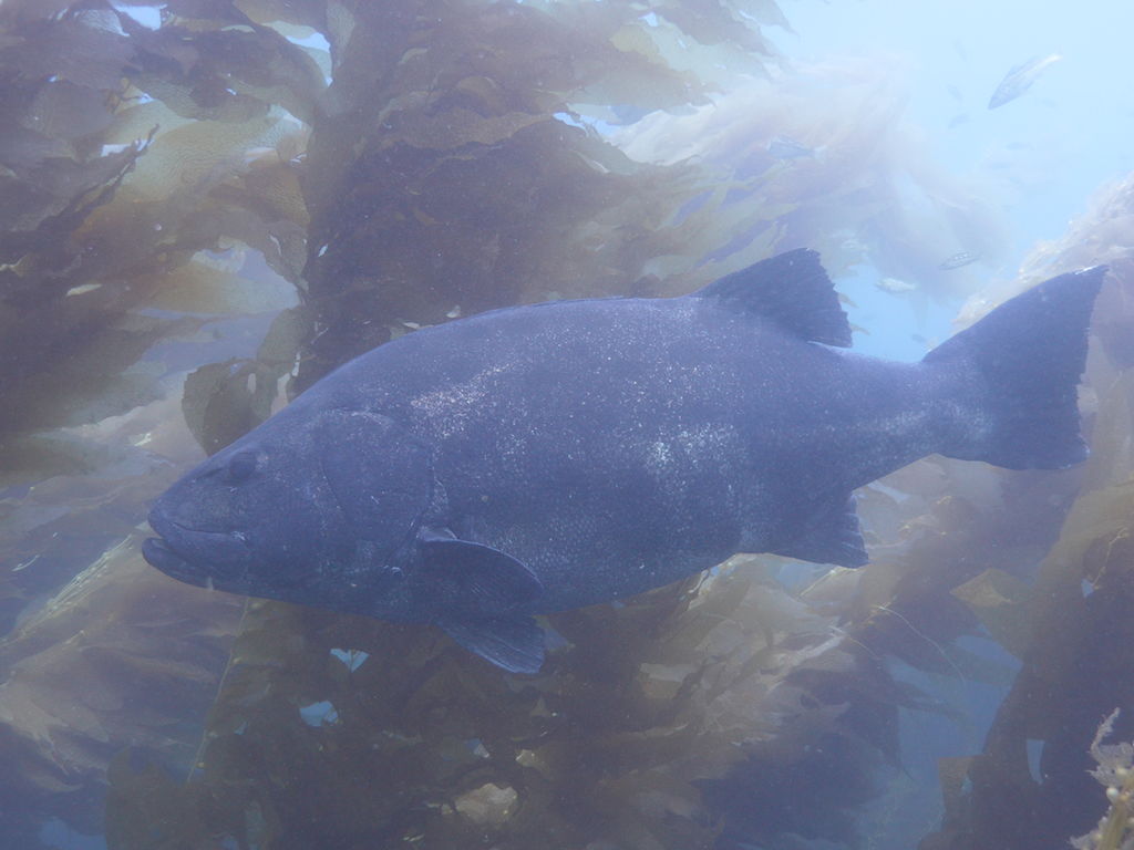 20b31356-91ac-4971-a1d4-941094f5abd3