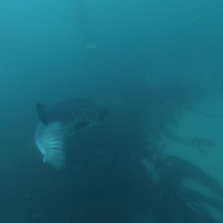 442cff86-575a-4166-92bc-0941488fdf81