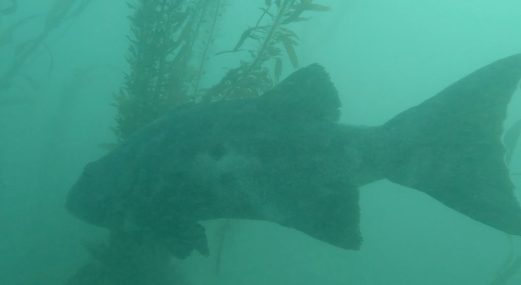 c870e37b-d963-487d-b788-770942442904