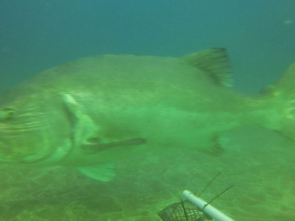 b59d54b5-d023-4b98-97ca-603afbcdd5e8