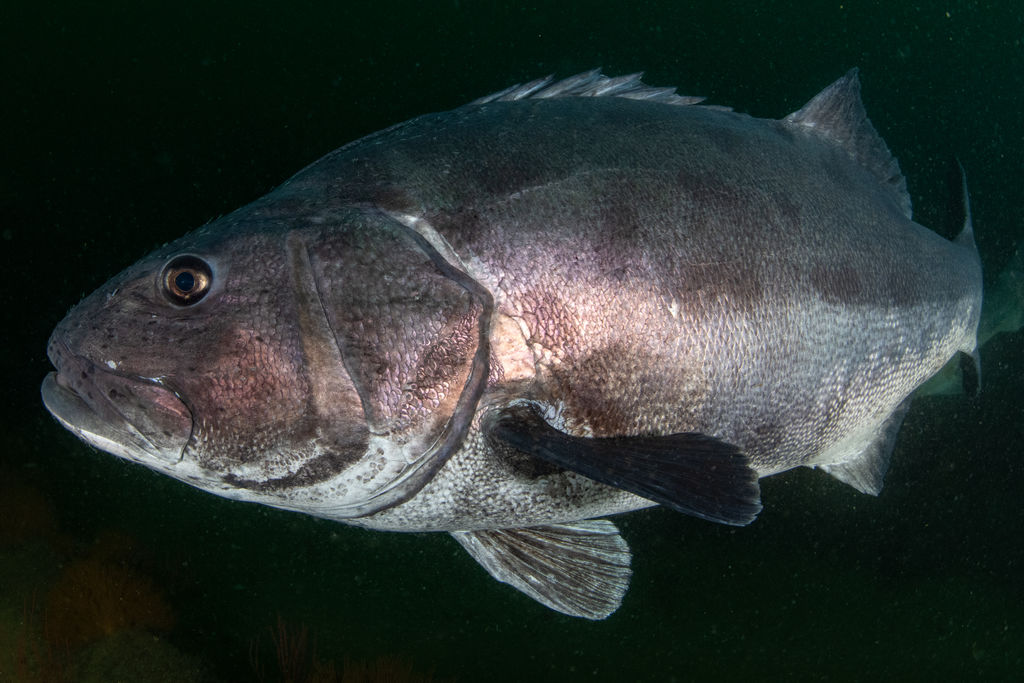 817a3439-20d1-469c-8de8-5aa0848c87a0