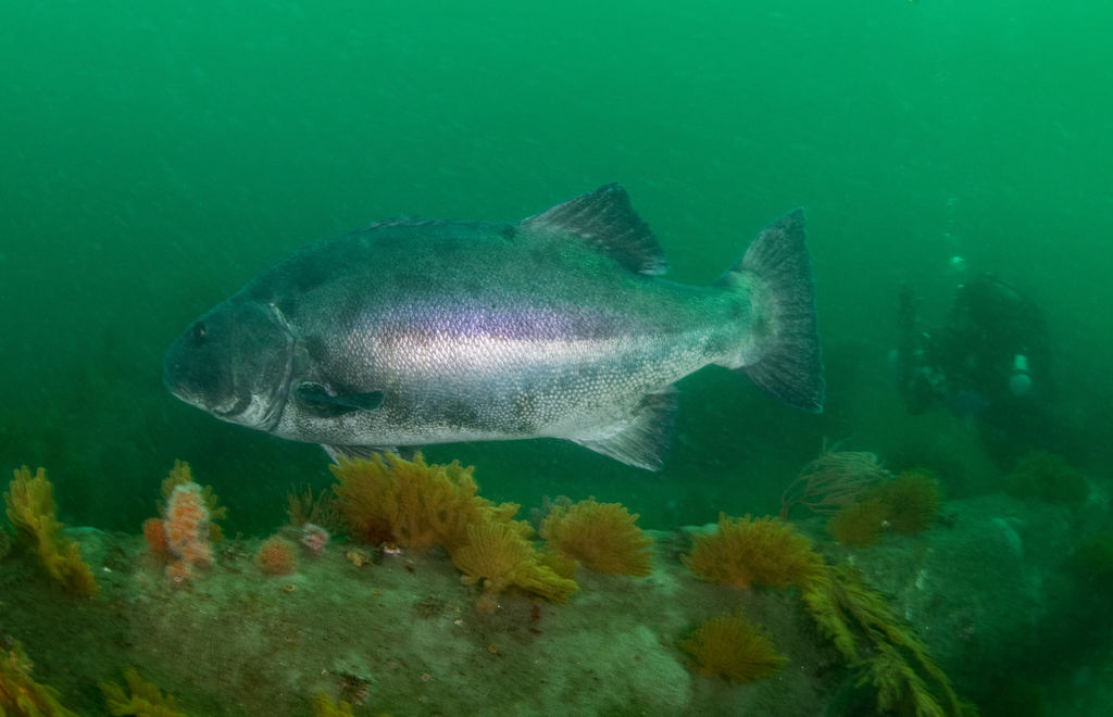 817a3439-20d1-469c-8de8-5aa0848c87a0