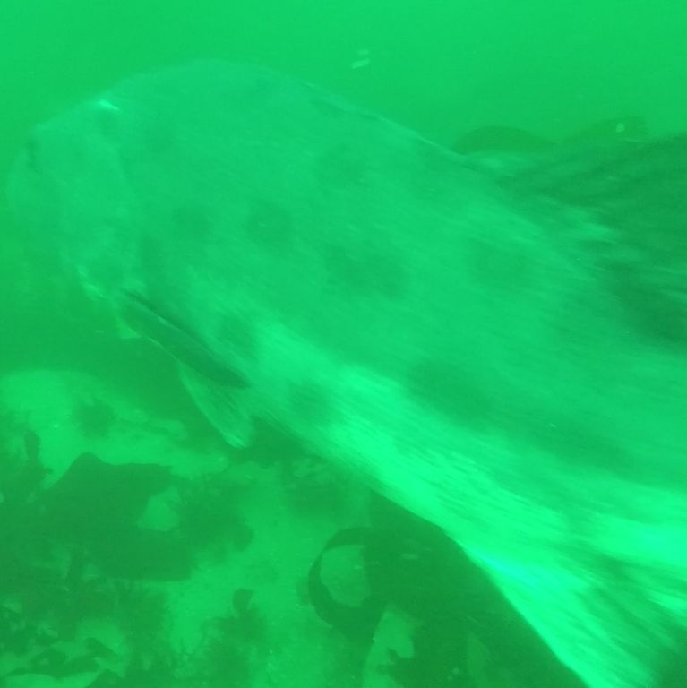 f6e1551a-445e-4c46-bdf0-ebe08b44adaa