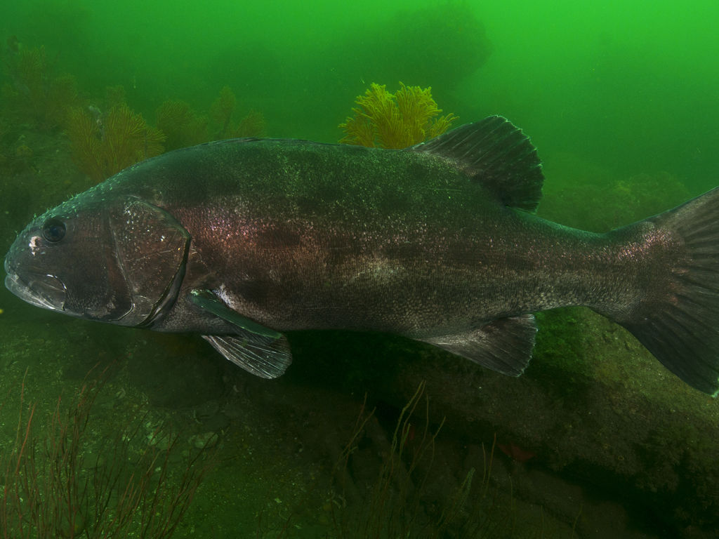 d1232eca-883a-4ca9-8167-bb7cab5956b9