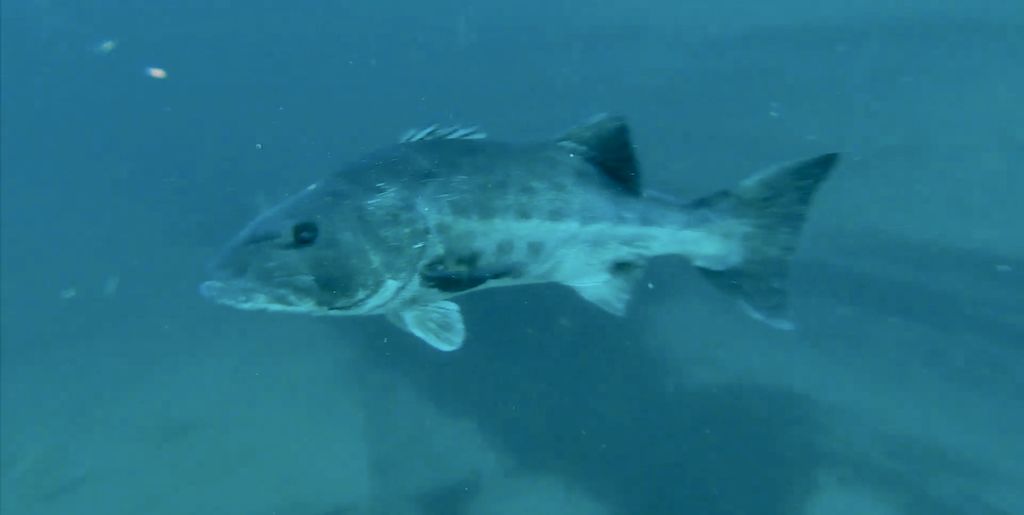 103f7b6e-7554-4da9-a6de-fb422e576055