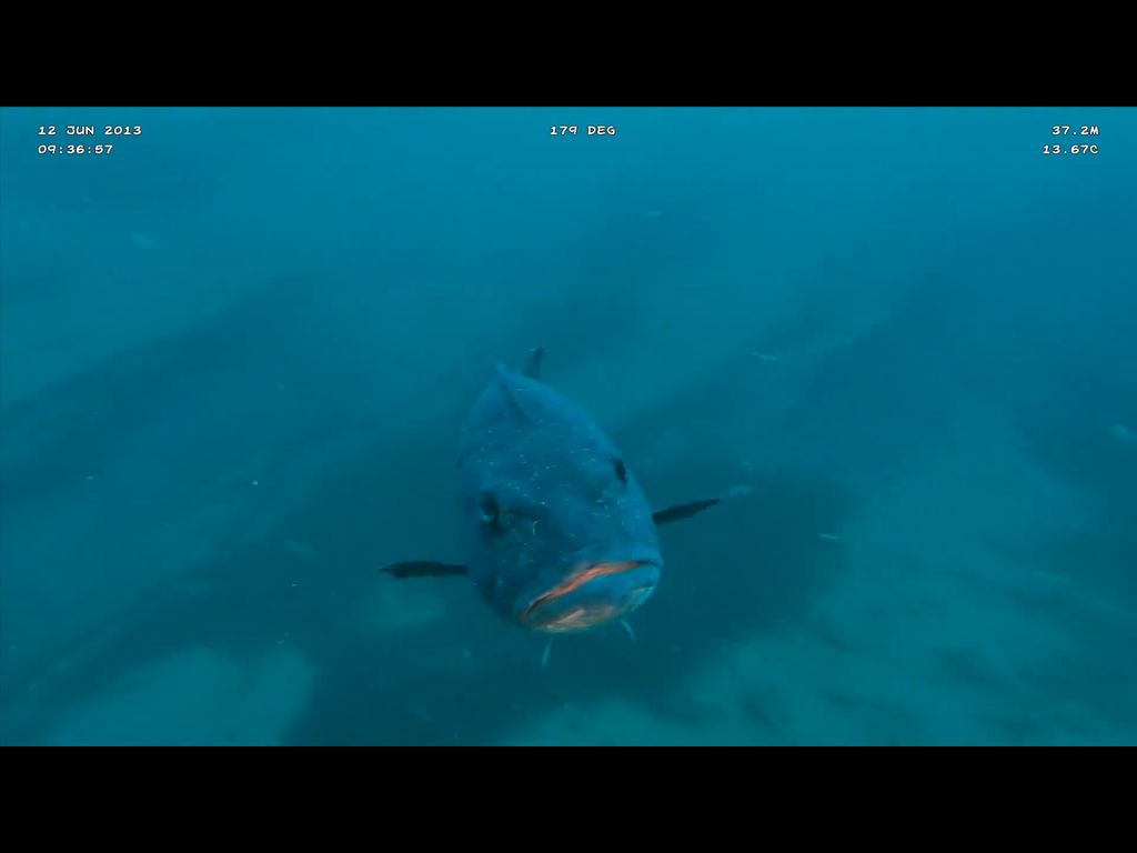 103f7b6e-7554-4da9-a6de-fb422e576055