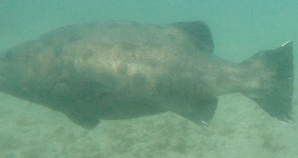 4a750319-87b5-49fb-9430-8946a7d59a13