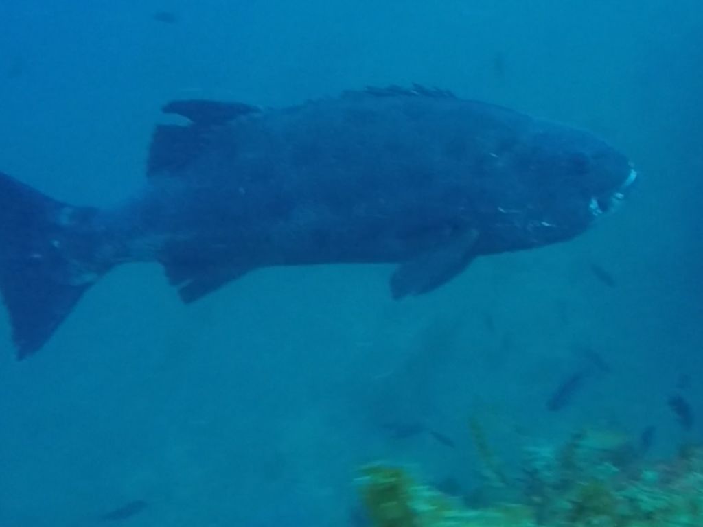 f5205dd8-7230-49e3-bd6c-2339fb4f7924