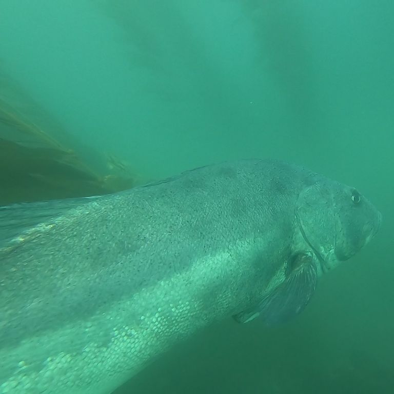 923ae4a7-256a-4dbe-83d4-59d3dc0097a2