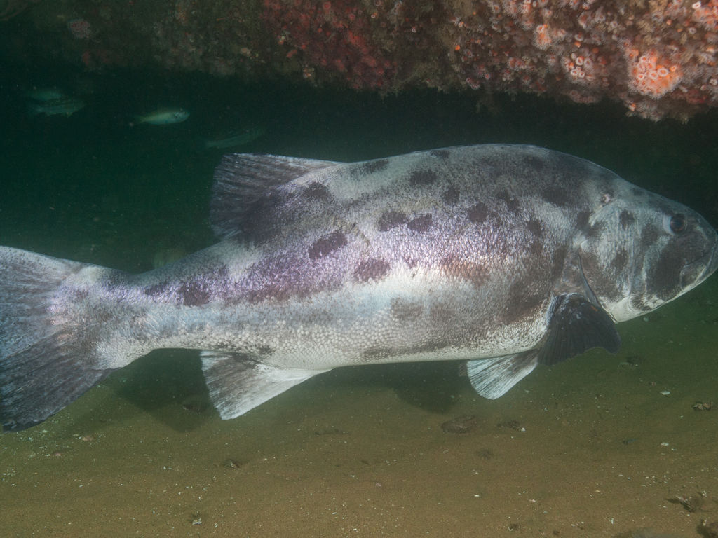 9d9c1a93-d83f-4812-a2c2-49dfc3fc846a