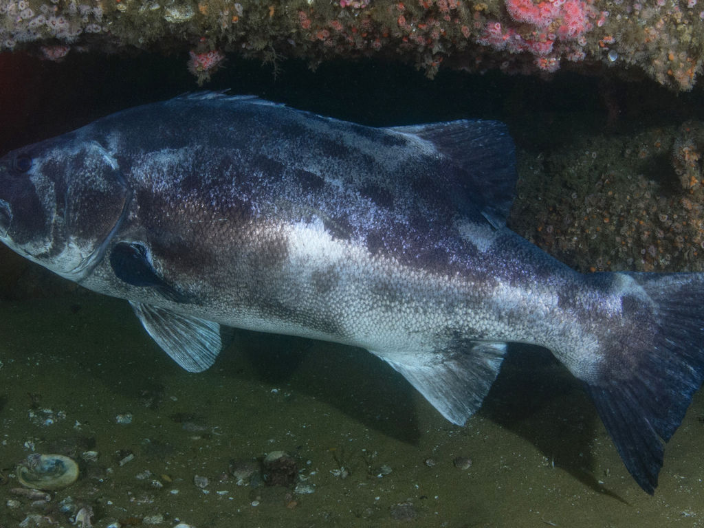 9d9c1a93-d83f-4812-a2c2-49dfc3fc846a