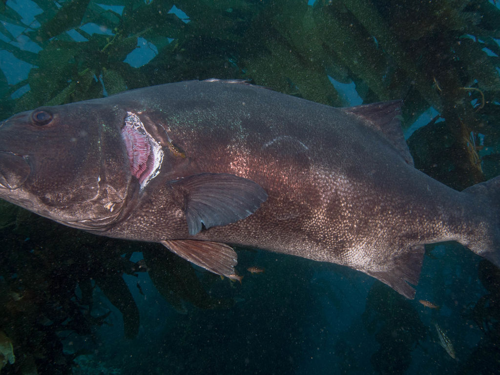 26c0d104-3f69-4d88-935a-20076757b035