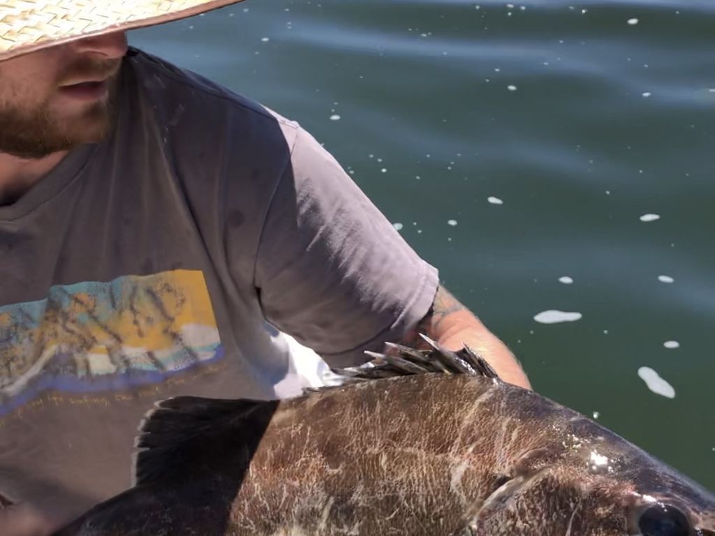 cacfca29-1ba1-4827-89c5-f90186988f4f