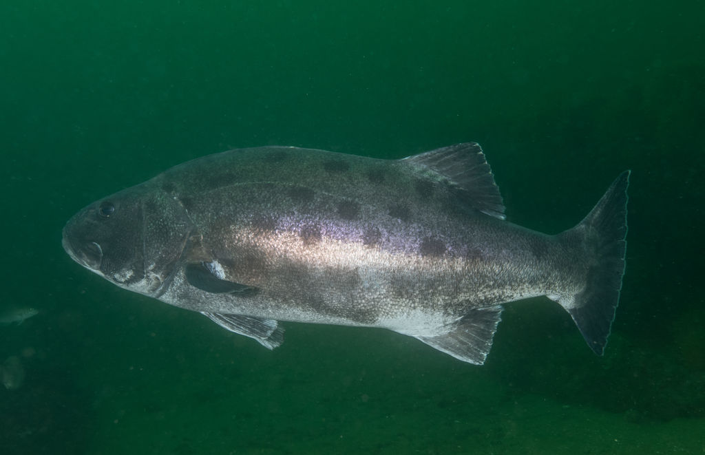 881f7635-860e-453f-b447-6b4f68e98f50