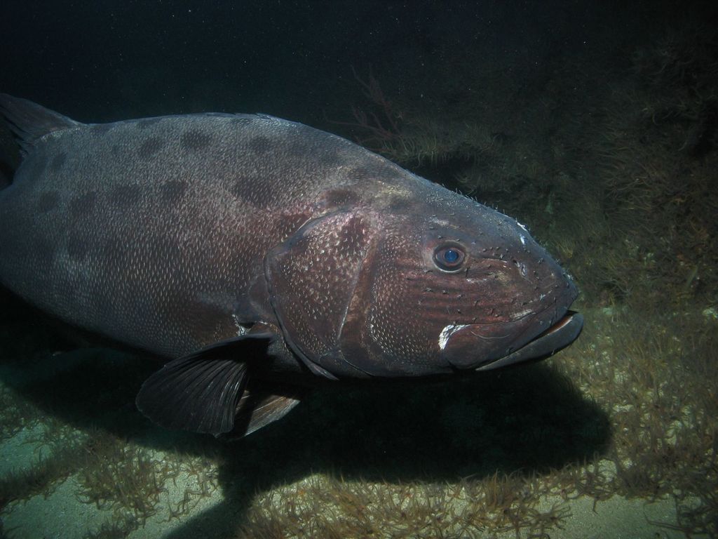 56e4c693-21a0-4847-b3bf-26e27ce6c8ab