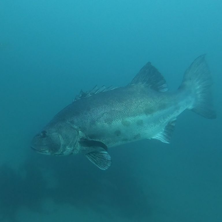 1ba8c438-1e74-4a99-929c-7abc87479f4e