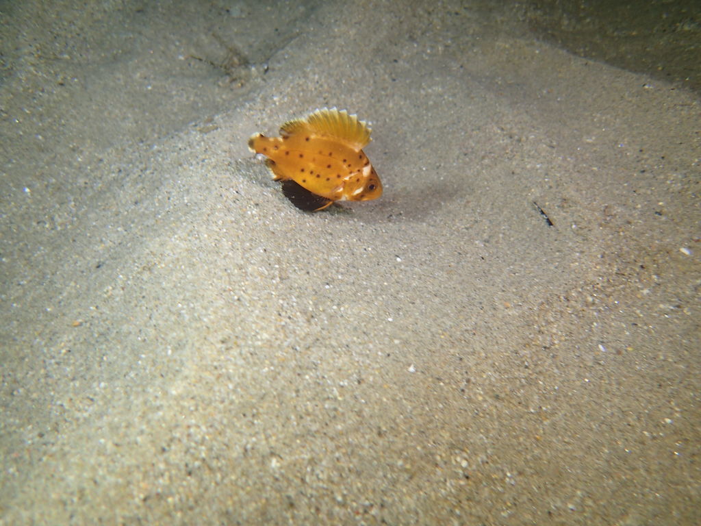 b9cb24f2-5ab9-4fb0-8148-f641c5cde2de