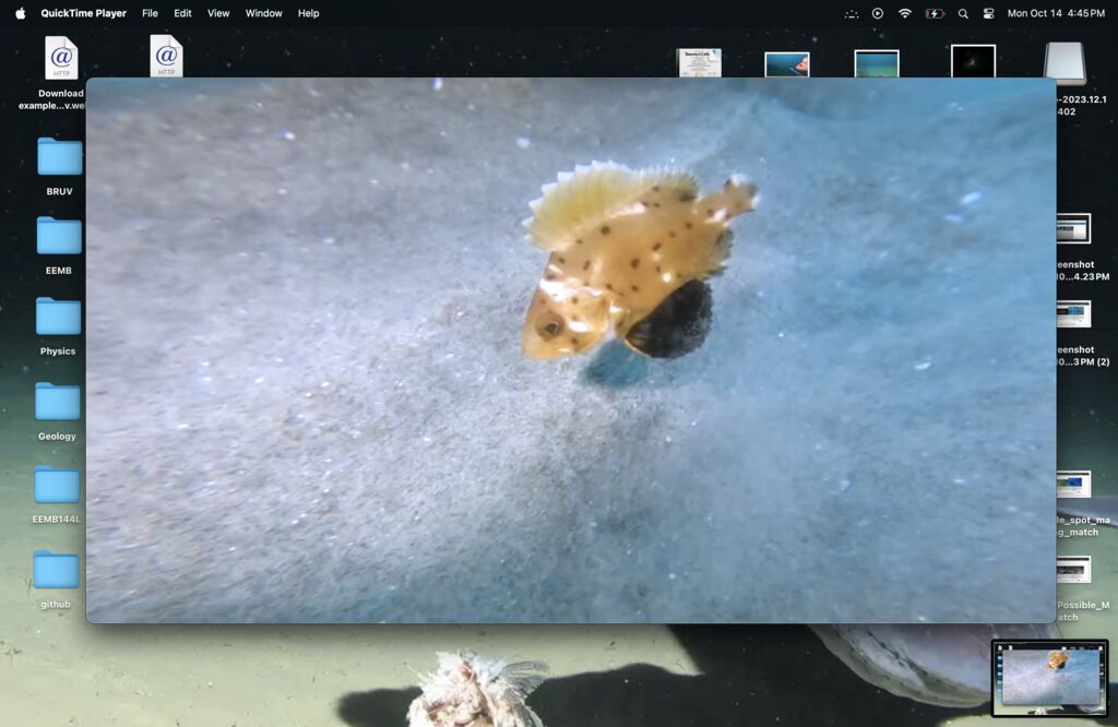 4497f18e-a0aa-47fc-8b89-8ed20bd15498