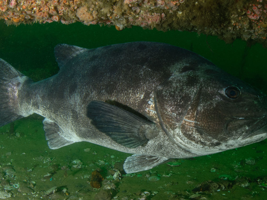 c43a18a3-602d-4937-941c-7073e17c77d2