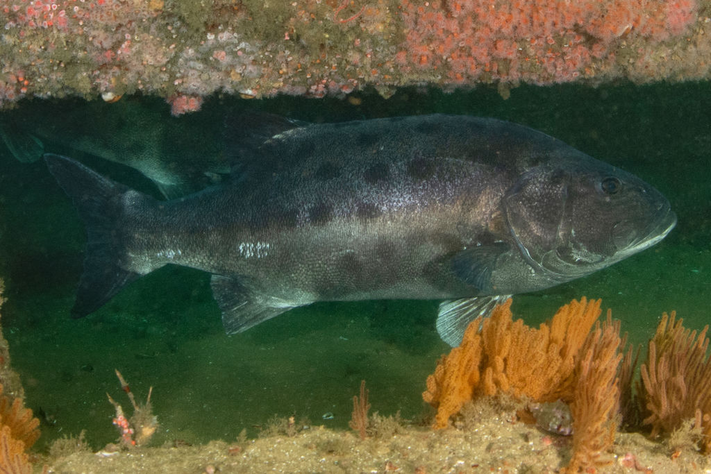 6d6b0a36-cff4-4ea7-ae21-bc78af9380b2