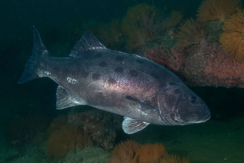 6d6b0a36-cff4-4ea7-ae21-bc78af9380b2